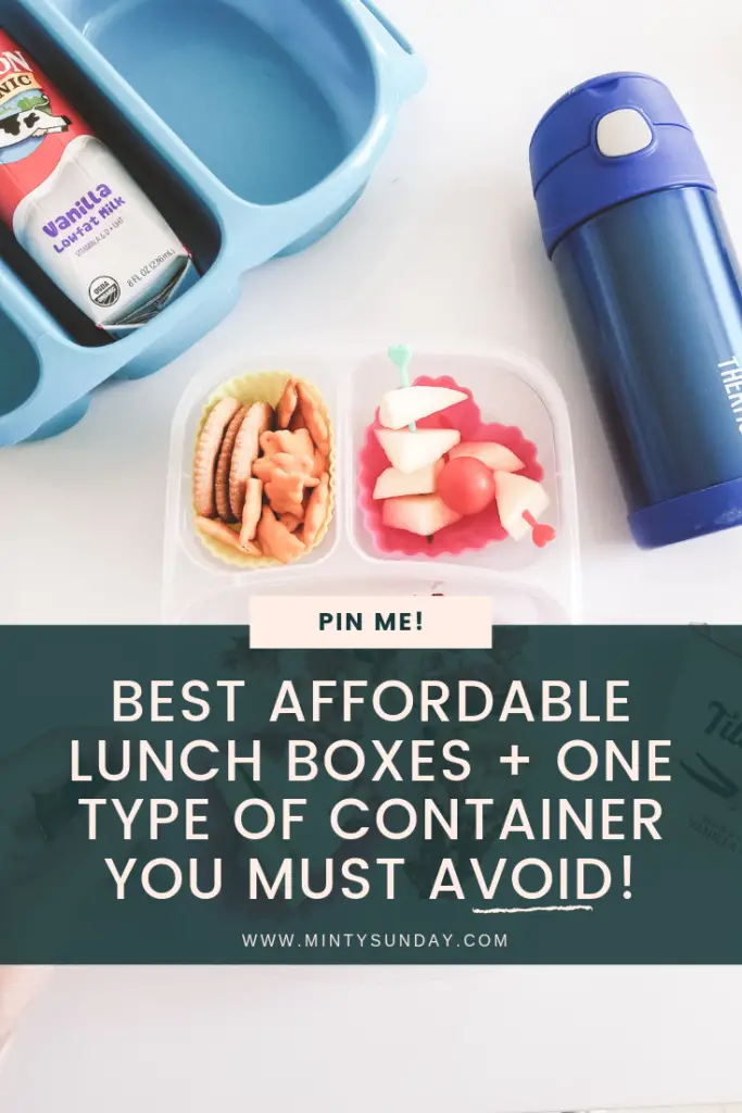 best school lunch box container on a budget