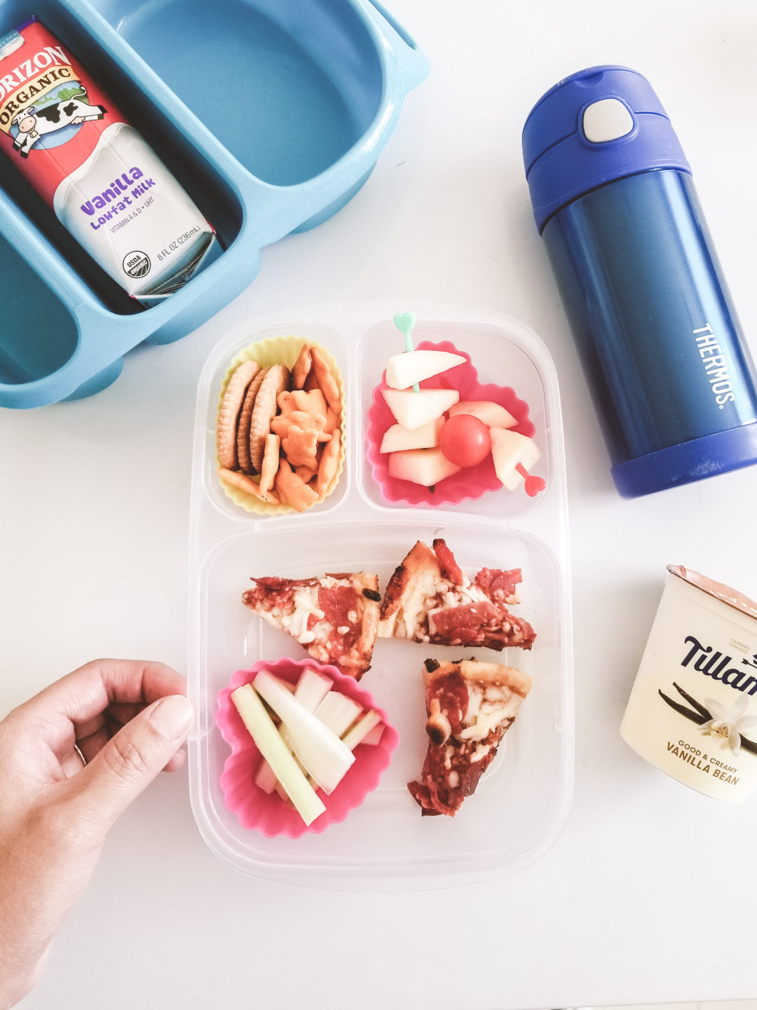 Best School Lunch Boxes for Kids on a Budget · Minty Sunday