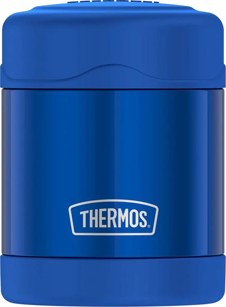 best school lunch boxes for kids on budget Thermos Funtainer