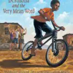 childrens books about racism and diversity desmond and the very mean word