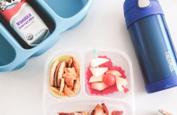 best-school-lunch-boxes-budget